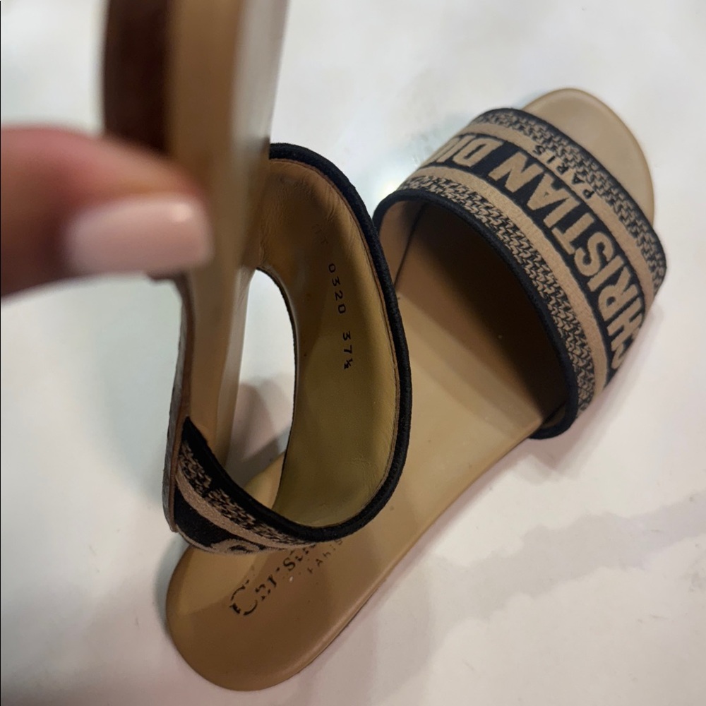 DIOR slide - Picture 8 of 14